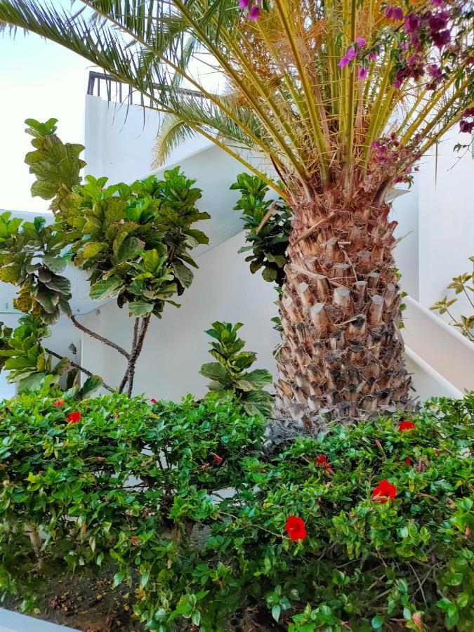 Appartement Flor De Cactus à Costa Teguise Extérieur photo